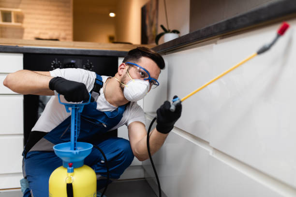 Best Bed Bug Extermination  in Buttonwillow, CA