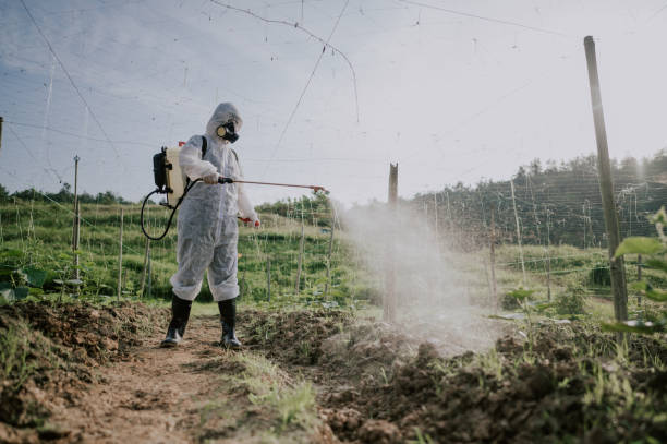 Best Mosquito Control Services  in Buttonwillow, CA