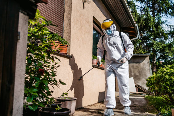 Best Rodent Control Near Me  in Buttonwillow, CA