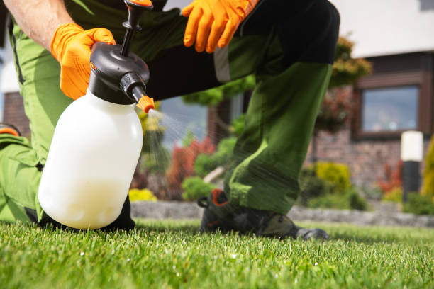 Best Pest Removal Services  in Buttonwillow, CA