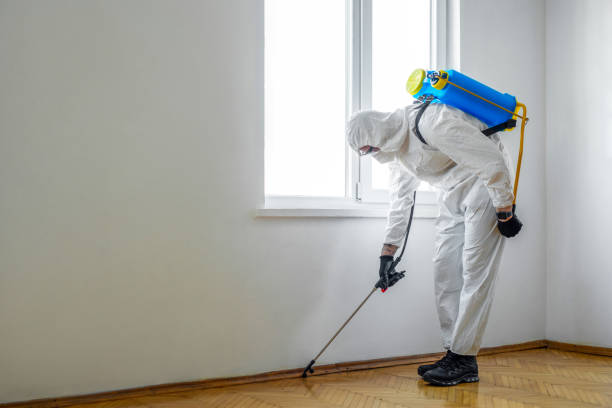Best Flea Control Services  in Buttonwillow, CA