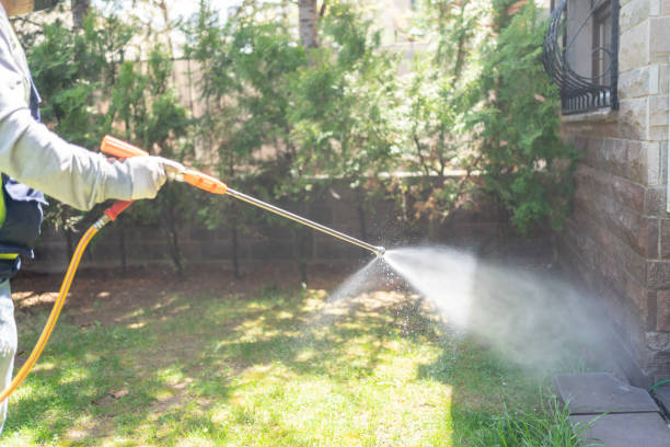 Best Local Pest Control Services  in Buttonwillow, CA
