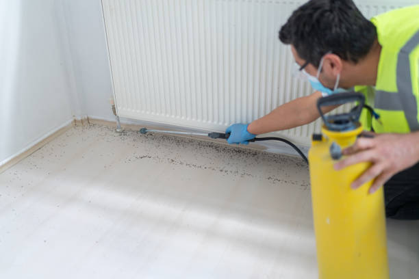 Buttonwillow, CA Pest Control Company