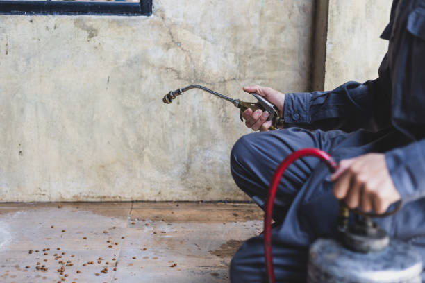 Best Residential Pest Control  in Buttonwillow, CA